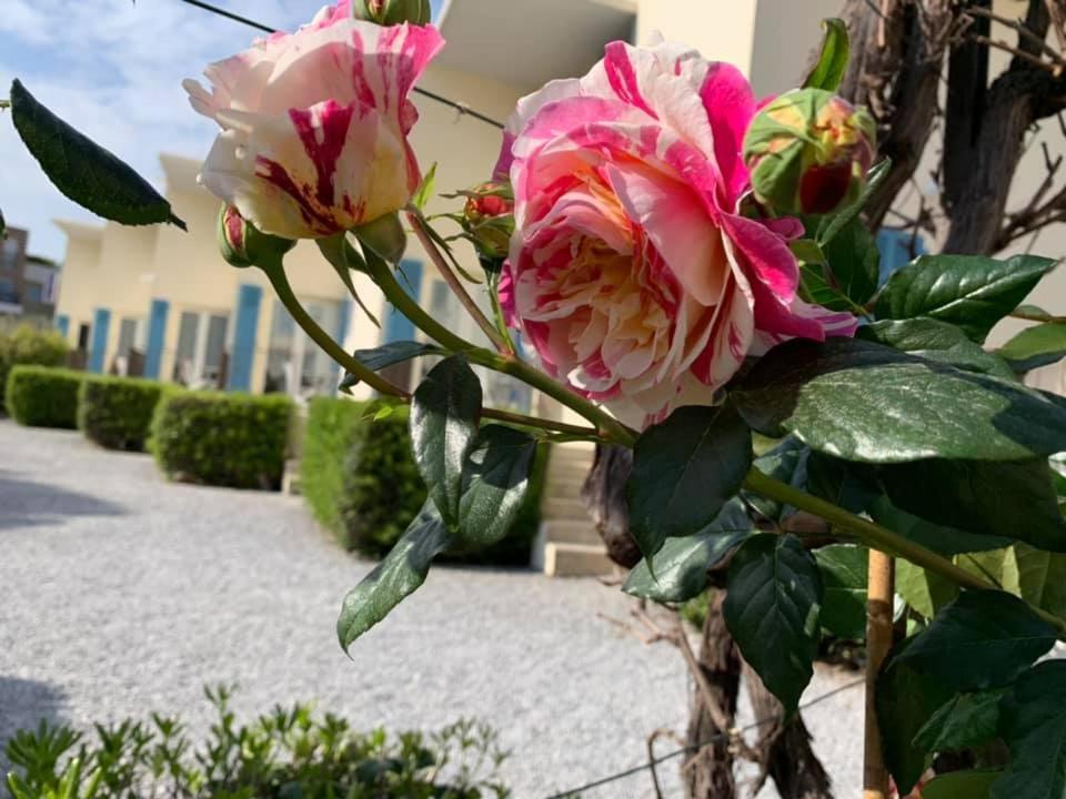 Hotel L'Etape Villeneuve-Loubet Dış mekan fotoğraf